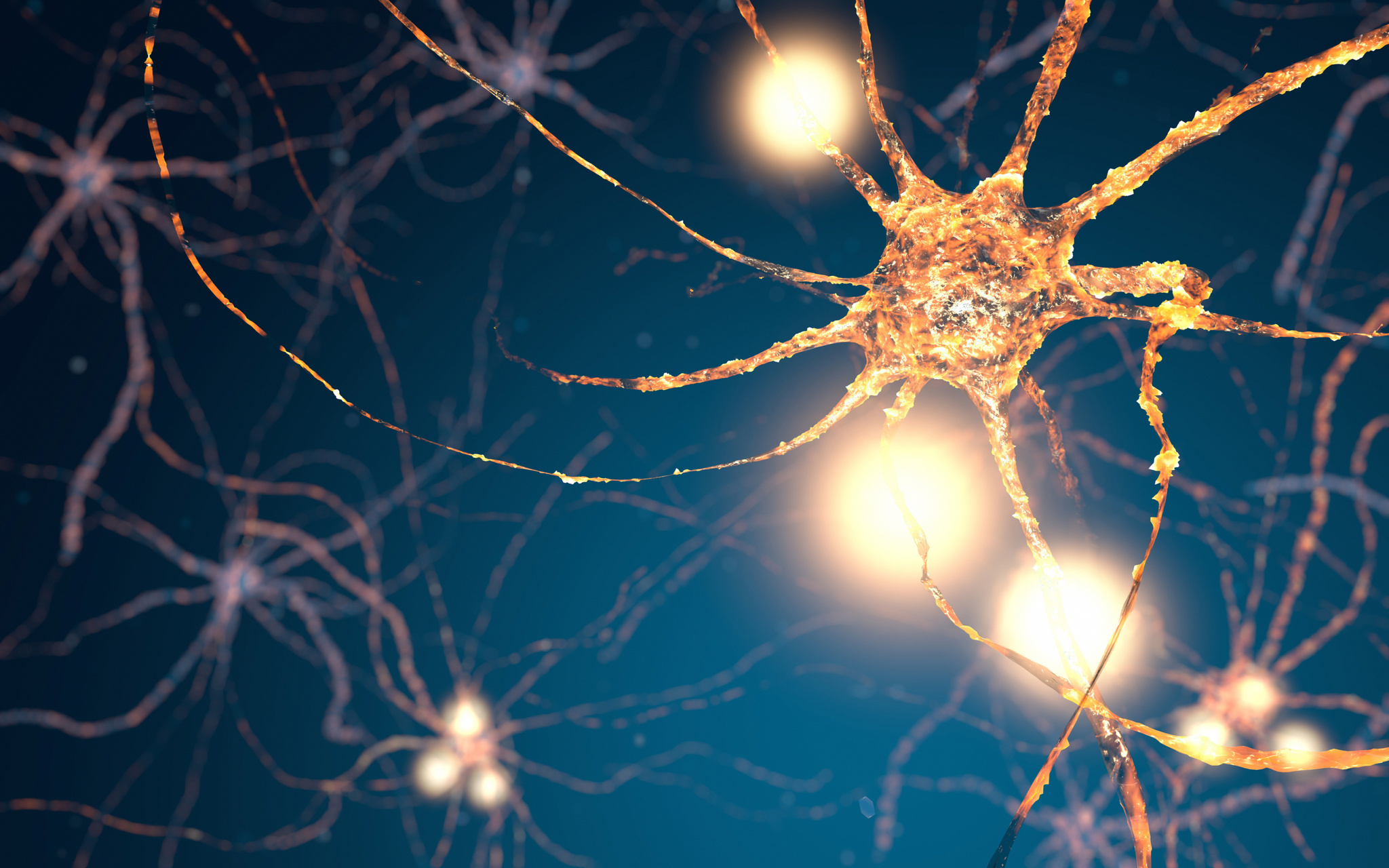 Active Neuron cells, synapse network
